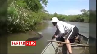 لحظه بیرون کشیدن آناکوندای غول پیکر از زیر آب!