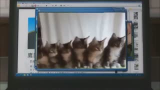 سلام بیاد آشنا شیم