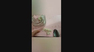 چاشنی معجزه آسا