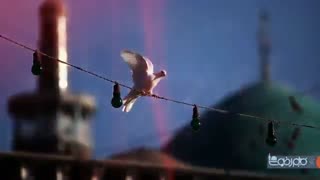 نماهنگ زیبای کاشکی با صدای محسن چاوشی