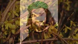 ز عطرِ دامنِ حسن اش بهار خندیدم - غزل - احمد محمود امپراطور