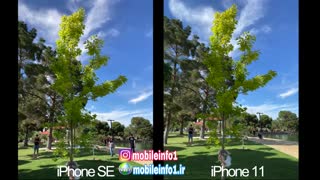مقایسه ی دوربین Iphone SE و Iphone 11