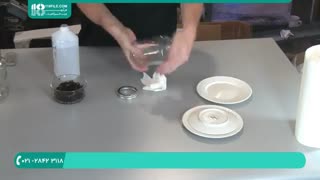 پرورش قارچ صدفی از تفاله قهوه در شیشه