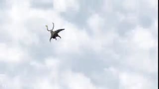 انیمه id invaded قسمت ۵