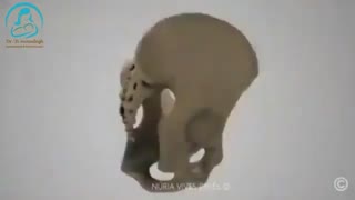 ورزش لگن برای زایمان طبیعی