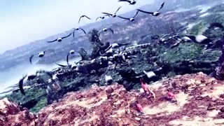 میکس کلود و اریث در فاینال فانتزی ( نجات کودکان )