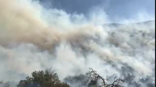 اتش سوزی جنگل های خومه زار وگلگون