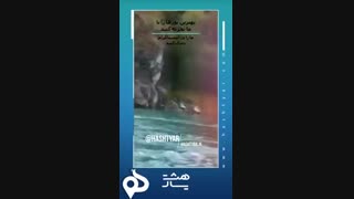 بهترین تور ها را با ما تجریه کنید و ما را دنبال کنید