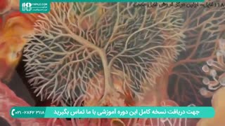 آموزش نقاشی آبستره با تکنیک های خلاقانه