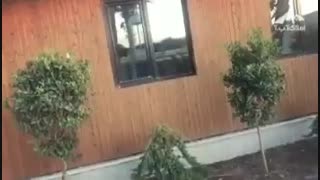 3000متر باغ ویلا واقع در بهترین موقعیت از شهریار