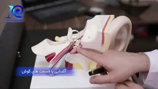 آشنایی با قسمت های گوش