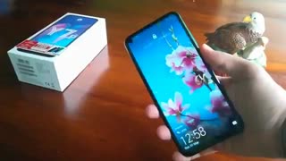 بررسی گوشی میانرده Huawei Y7p