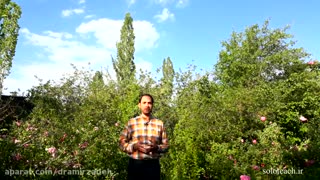 سبک شخصی خودت را زندگی کن