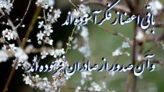 آن شقایق های پارچین را بریز (مثنوی معنوی دفتر 6)