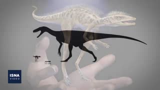 از ادعای انتشار ویروس کرونا در هوا تا کشف اجداد دایناسورها