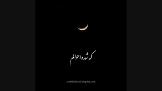 از جوانی گله دارم ز جهانت سیرم...