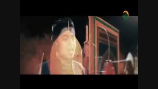 کبوترهای گوهرشاد