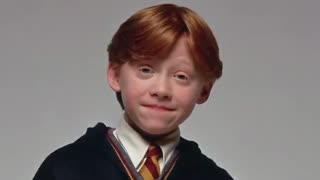 بازیگران مجموعه فیلم‌های هری پاتر پس از 16 سال