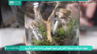 آموزش ساخت تراریوم های کوچک و فانتزی