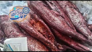 سوغات سرای گیلان در رشت