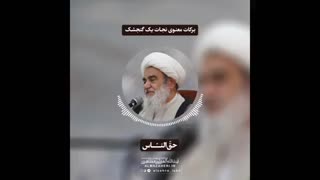 برکات معنوی نجات یک گنجشک(آیت الله العظمی مظاهری)