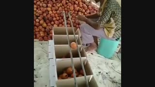 سورتینگ خلاقانه