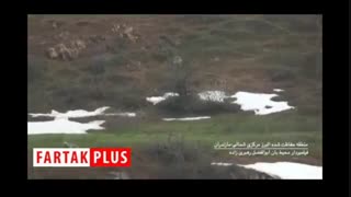 دفاع خرس قهوهای از قلمرو خود در برابر خرس جوان