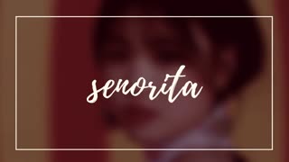 بی کلام آهنگSENORITA جی ایدل