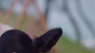 او اس تی پنجم سریال اشکالی نداره خوب نباشی Kim Feel_Hallelujah