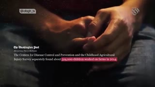 کدام کشور ۲.۵ میلیون کودک کار دارد؟ - آمریکا منفی بیست