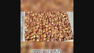 فروش خرمای زاهدی درجه یک