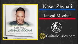 دانلود آهنگ ناصر زینعلی جنگل موهات Naser Zeynali Jangal Moohat