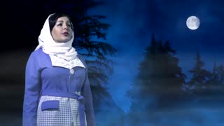 دل آرا شرکا _ویدیو شعربسیار زیبای محو تماشای توأم