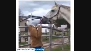 بدجور شکست عشقی خورد