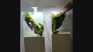 طراحی دکور داخلی آکواریوم پلنت