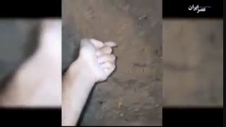 برگزاری تور آموزش گنج یابی با ۵۰۰ نفر؛ پوآرو دستگیر می‌شود!