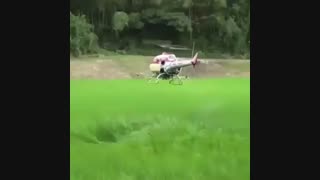 سمپاشی حرفه ای | 09190445812