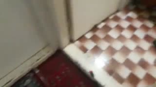 سمپاشی سوسک | 09378505613