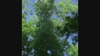 سمپاشی کشاورزی | 09190445812