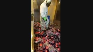 سمپاشی در تهران | 09106682600