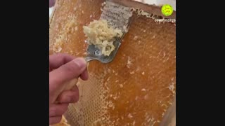 عسل طبیعی موم عسل