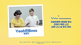 [Stray Kids : SKZ-RECORD] 빵꿀즈 "Yeah민Boss" / 티격태격 "잔소리 대마왕"