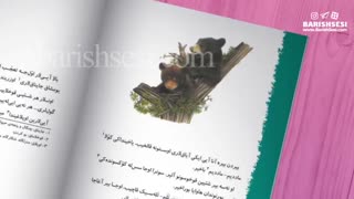 معرفی کتاب آیی‌لار به زبان ترکی آذربایجانی