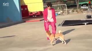 BANGTAN BOMB] There's a Dog on the Set with BTS ]