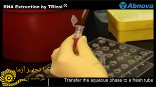 استخراج RNA با محلول ترایزول