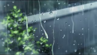 Les Parapluies De Cherbourg