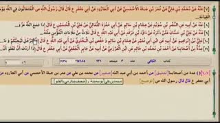 آیا شیعیان برای خدا دست قائلند!!!؟