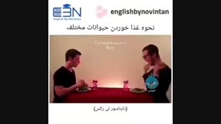 حیوانات این طوری غذا می خورن