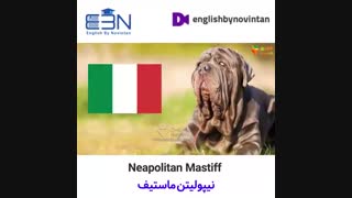 خطرناک ترین سگ های دنیا