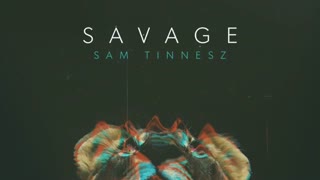 اهنگ savageاز sam tinnesz